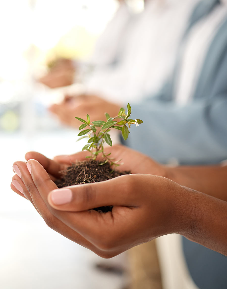 Nonprofit Web Design San Diego