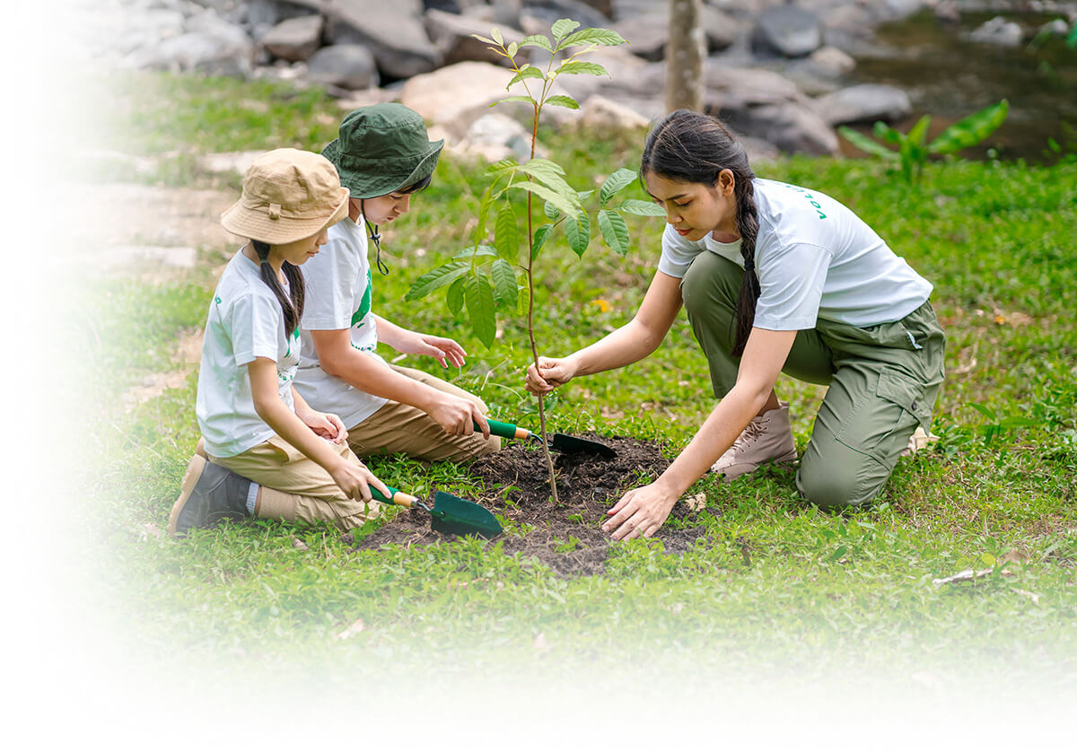Website Design for Nonprofits